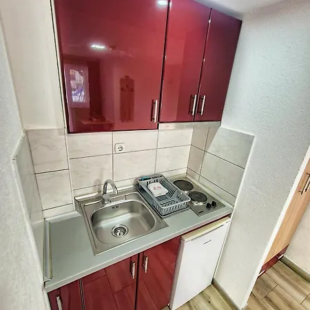 Aleksandra 2 3 아파트 소코 반자